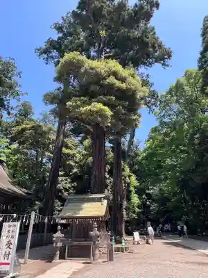鹿島神宮(茨城県)