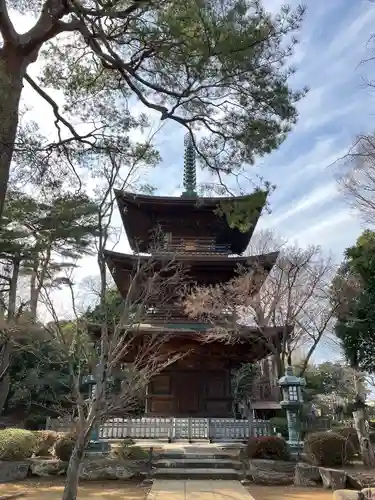 豪徳寺(東京都)