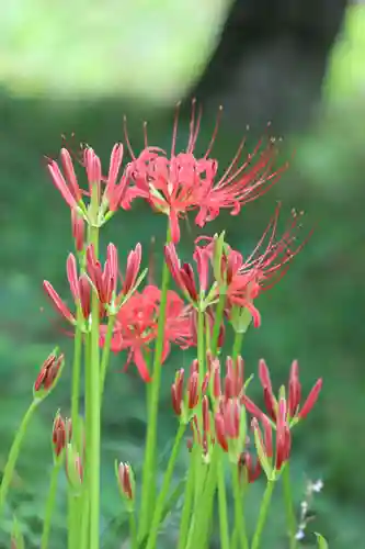 国宝 大法寺(長野県)