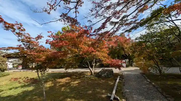 勧修寺(京都府)