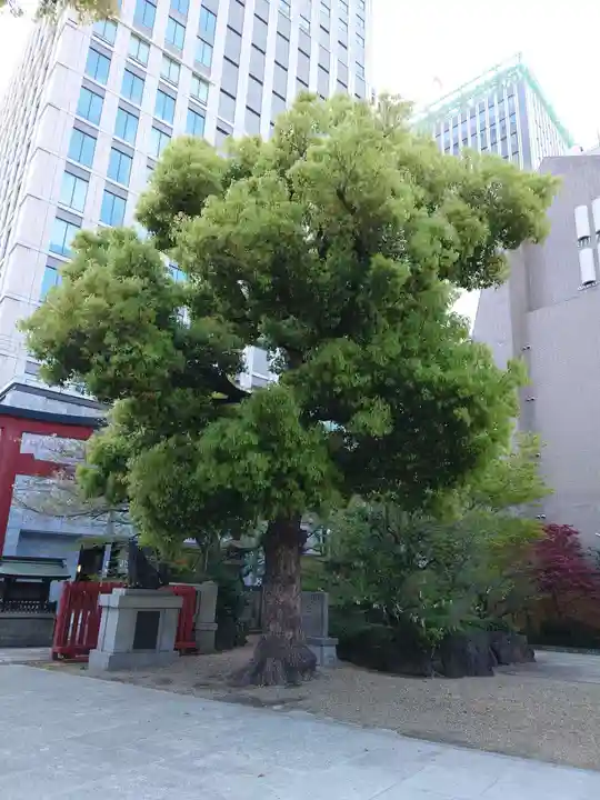 御霊神社(大阪府)