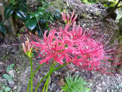 瑞源寺(福井県)