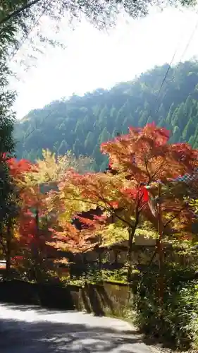 吟松寺の自然