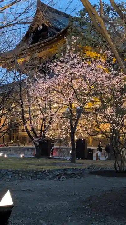 東寺(教王護国寺)(京都府)