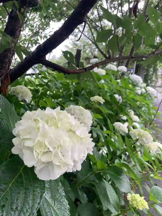 国上寺(新潟県)