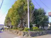 津島社(加納)の自然
