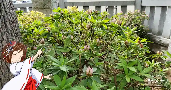 三谷稲荷神社の自然