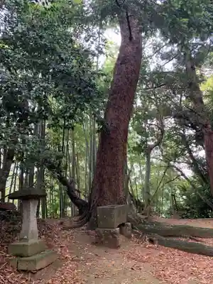 稲荷神社(千葉県)
