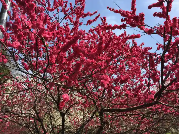 華厳寺(岐阜県)