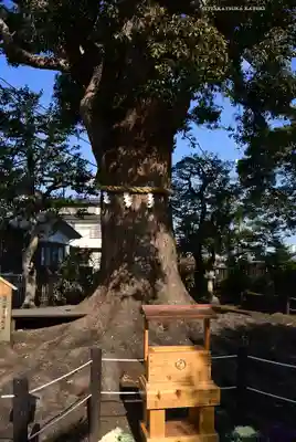 日々神社(神奈川県)