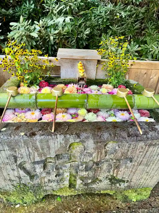 白根神社(群馬県)