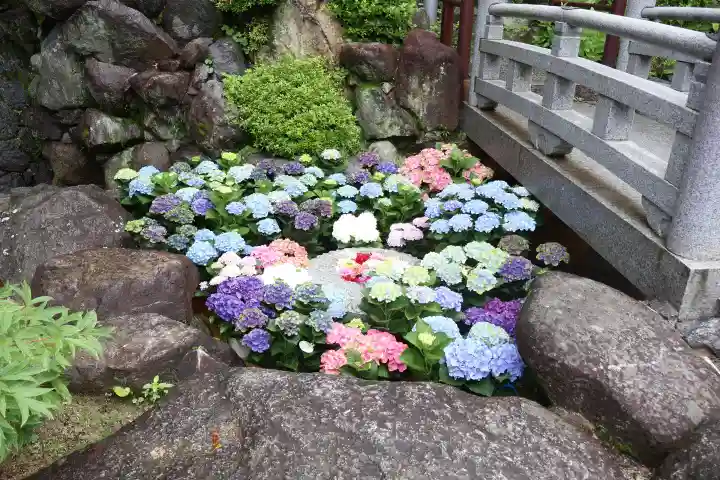 岡寺(龍蓋寺)(奈良県)