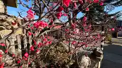 菅原天満宮（菅原神社）(奈良県)