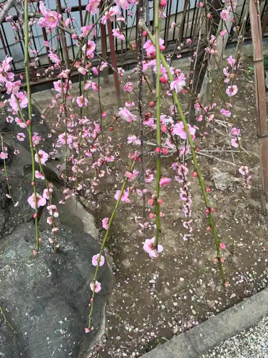 武蔵第六天神社(埼玉県)