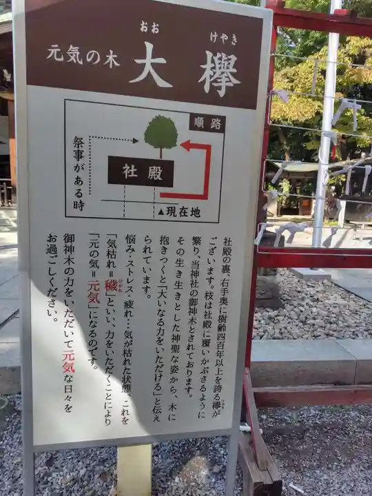 鎮守氷川神社の体験その他