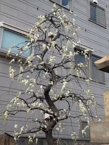 慶運寺(神奈川県)