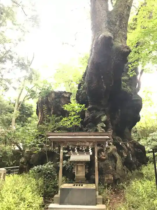 來宮神社(静岡県)