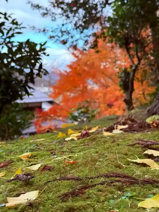 萬徳寺(福井県)
