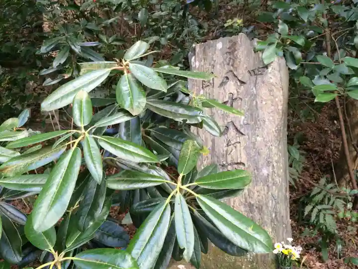 鎮國寺(福岡県)