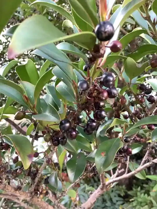 三輪神社の自然