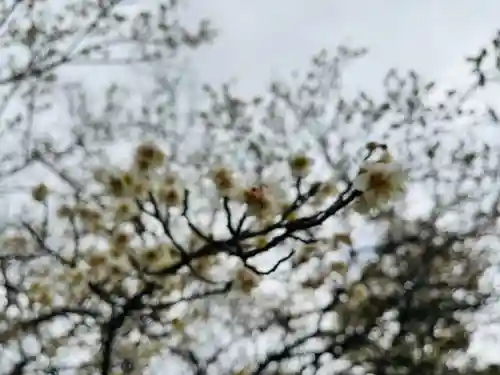 石清水八幡宮(京都府)