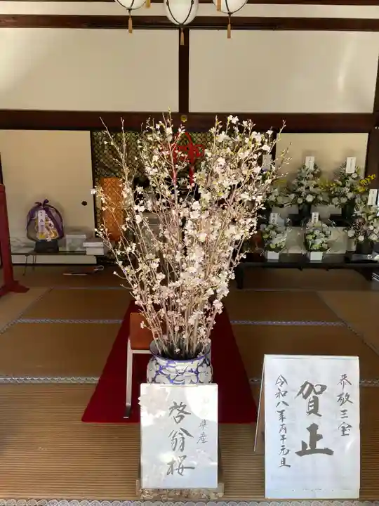 退蔵院(京都府)