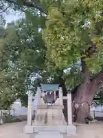 加多寺跡(愛媛県)