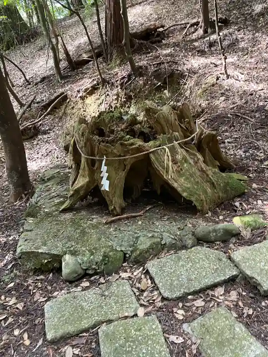 元伊勢内宮 皇大神社(京都府)