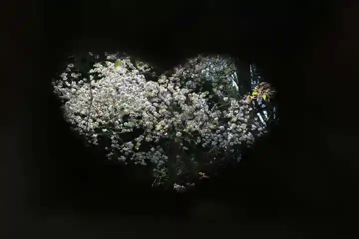 磐椅神社の自然