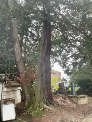 光明寺(宮城県)