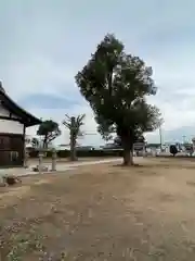 弁財神社　竹嶋神社(兵庫県)