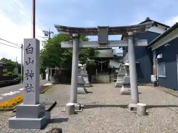白山神社の{uncategorized: "未分類", other: "その他", undefined: "問題あり", building: "その他建物", grave: "お墓", sacred_gate: "鳥居", guardian: "狛犬", statue: "像", buddha: "仏像", history: "歴史", nature: "自然", garden: "庭園", animal: "動物", pagoda: "塔", temizu: "手水舎", mountain_gate: "山門・神門", sanctuary: "本殿・本堂", subordinate: "末社・摂社", art: "芸術", scenery: "景色", jizo: "地蔵", ema: "絵馬", goshuin: "御朱印", omikuji: "おみくじ", items: "授与品その他", amulet: "お守り", goshuincho: "御朱印帳", eats: "食事", festival: "お祭り", votive_dance: "神楽", shichigosan: "七五三参", wedding: "結婚式", experience: "体験その他", initially: "初詣", around: "周辺", anti_infection: "感染症対策"}