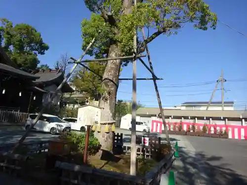 溝口神社の自然