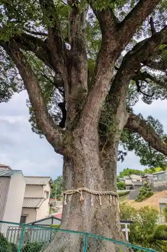 松尾寺(大阪府)