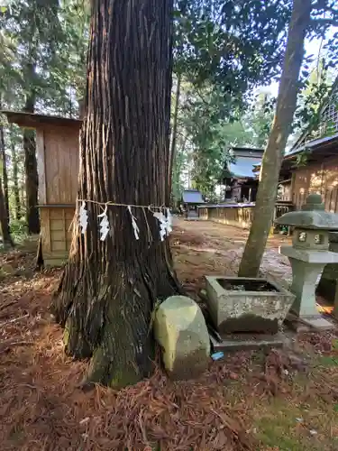 鴨大神御子神主玉神社の庭園