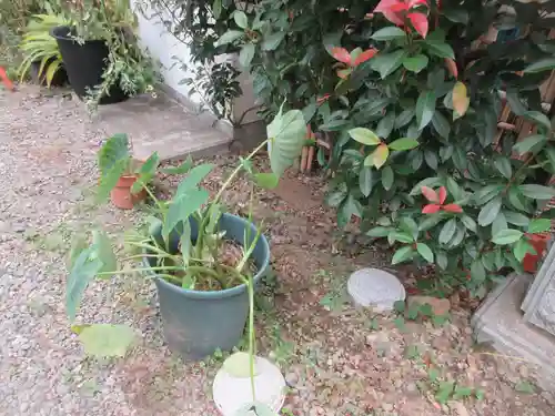 専称寺(東京都)