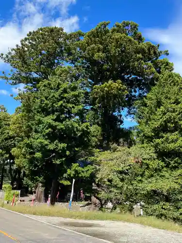 高司神社〜むすびの神の鎮まる社〜(福島県)
