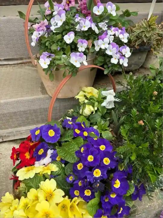 岡部春日神社~👹鬼門よけの🌺花咲く🌺やしろ~(福島県)