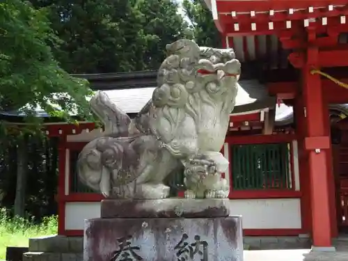 冨士御室浅間神社の狛犬