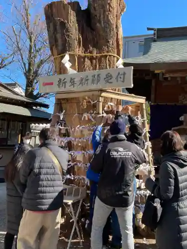 松戸神社の自然