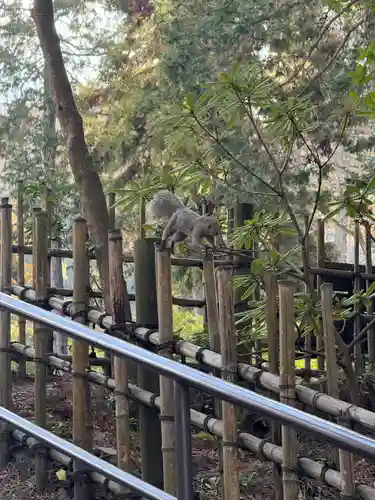 円覚寺(神奈川県)