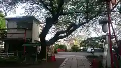 居木神社の建物その他