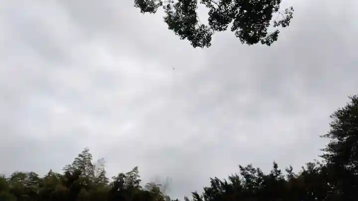 平野神社(京都府)