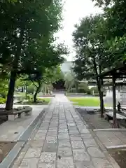 妙正寺(東京都)