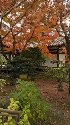 法金剛院(京都府)