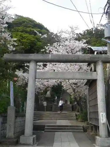 甘縄神明神社（甘縄神明宮）の鳥居