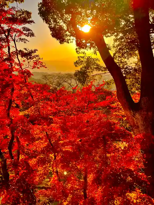宝満宮竈門神社の自然