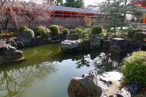 蓮華王院（三十三間堂）の庭園