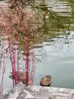 東寺（教王護国寺）の{uncategorized: "未分類", other: "その他", undefined: "問題あり", building: "その他建物", grave: "お墓", sacred_gate: "鳥居", guardian: "狛犬", statue: "像", buddha: "仏像", history: "歴史", nature: "自然", garden: "庭園", animal: "動物", pagoda: "塔", temizu: "手水舎", mountain_gate: "山門・神門", sanctuary: "本殿・本堂", subordinate: "末社・摂社", art: "芸術", scenery: "景色", jizo: "地蔵", ema: "絵馬", goshuin: "御朱印", omikuji: "おみくじ", items: "授与品その他", amulet: "お守り", goshuincho: "御朱印帳", eats: "食事", festival: "お祭り", votive_dance: "神楽", shichigosan: "七五三参", wedding: "結婚式", experience: "体験その他", initially: "初詣", around: "周辺", anti_infection: "感染症対策"}
