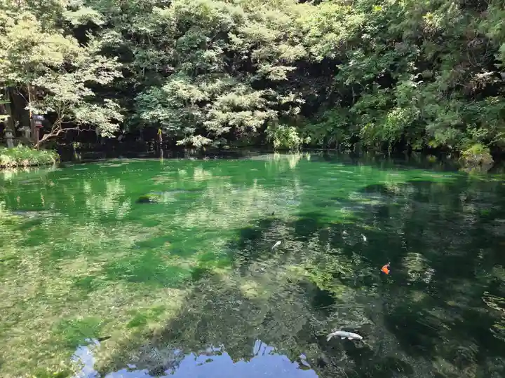 涌釜神社(栃木県)